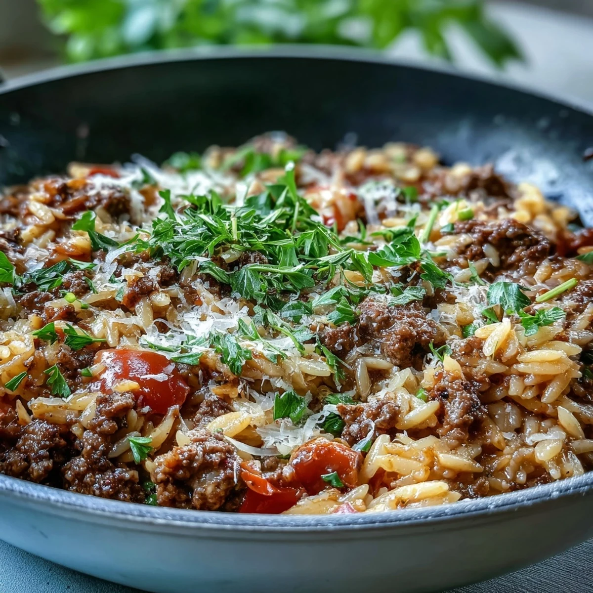 Fork-tender ground beef orzo dinner simmering in a rich tomato broth, dotted with sweet bell peppers and fresh parsley.